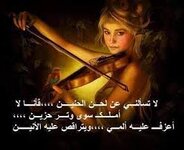 IMG_8438.jpeg
