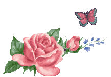 IMG_7583.gif