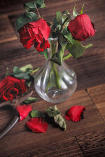 pngtree-sad-valentines-day-concept-with-withered-rose-and-fall-leaves-photo-image_38947592.jpg