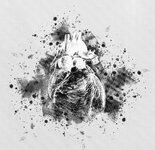 IMG_7710.jpeg