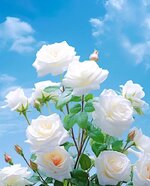 IMG_٢٠٢٣٠٥٣٠_٠٥٤٢٢٣.jpg