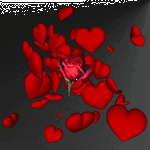 IMG_9374.gif IMG_9374.gif