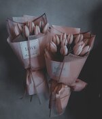IMG_3446.jpeg