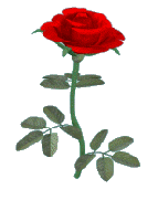 5c8fe41f1d441cf23ccd60ecc71bee2b.gif