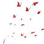 IMG_8660.gif