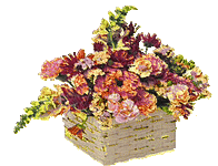 IMG_8553.gif IMG_8553.gif