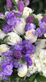 IMG_3671.jpeg IMG_3671.jpeg