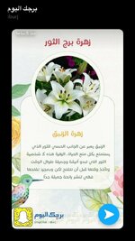 b89617ce96075370f10c7d1850f93d75.jpg