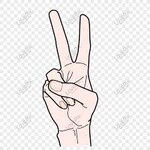 IMG_8789.jpeg IMG_8789.jpeg