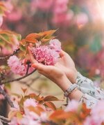 FB_IMG_1716488008357.jpg FB_IMG_1716488008357.jpg