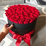 IMG_0356.jpeg IMG_0356.jpeg