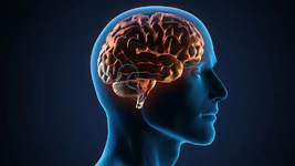 996f7fc3-befd-4f7f-8c48-d7e9be6ed4ef_16x9_1200x676.png 996f7fc3-befd-4f7f-8c48-d7e9be6ed4ef_16x9_1200x676.png