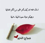 1719096073297.png