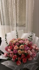 IMG_4262.jpeg