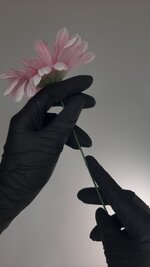 ab83d35418093852ffa7e043c9ffcdc9.jpg