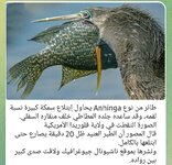 Screenshot_٢٠٢٤٠٧١٥-٠٤٣٤٣٩_Telegram.jpg