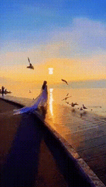 01879d807dee2047efc15a01333ac85e.gif 01879d807dee2047efc15a01333ac85e.gif
