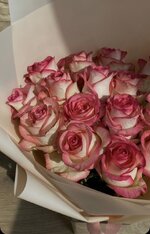 IMG_4819.jpeg