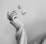 ٢٠٢٤٠٨٠٣_١١٣٣٠٦.jpg