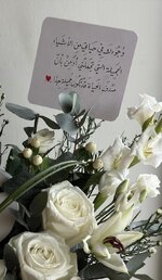 1725407457345.jpeg 1725407457345.jpeg