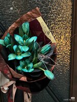 IMG_0102.jpeg
