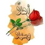 IMG_1939.jpeg IMG_1939.jpeg