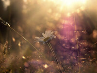 IMG_9610.jpeg