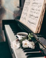 IMG_2310.jpeg IMG_2310.jpeg