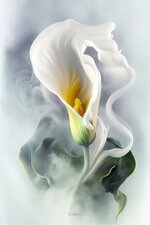 ٢٠٢٤٠٩٢٣_٠٥٣٠٢٩.jpg ٢٠٢٤٠٩٢٣_٠٥٣٠٢٩.jpg