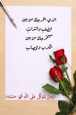 1728717136873.jpeg 1728717136873.jpeg