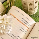 1729002061146.jpeg 1729002061146.jpeg