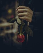 ٢٠٢٤٠٩٢٣_٠٥٥١٣٧.jpg ٢٠٢٤٠٩٢٣_٠٥٥١٣٧.jpg