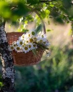 ٢٠٢٤٠٥١٢_٠٨١٣١٧.jpg ٢٠٢٤٠٥١٢_٠٨١٣١٧.jpg