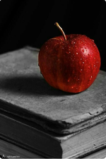 IMG_1109.jpeg