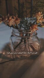 IMG_3331.jpeg