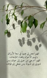 IMG_3436.jpeg