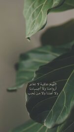 4a48e323-0ed6-479a-831a-11b8c5e38632.jpeg