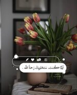 IMG_3482.jpeg