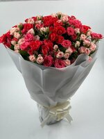 8b4c3e0e-4ac0-4b6c-9f77-1cbced10e6d9-375x500-iEsyyRkAgtdvMEJOqejBV0uTPLEvhxoX7Q4FA2Ti.jpg 8b4c3e0e-4ac0-4b6c-9f77-1cbced10e6d9-375x500-iEsyyRkAgtdvMEJOqejBV0uTPLEvhxoX7Q4FA2Ti.jpg