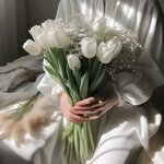 1730112797399.jpg
