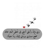IMG_3541.jpeg