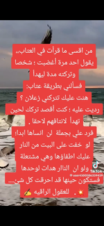 IMG_9782.png IMG_9782.png