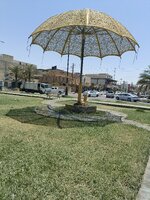 IMG_20240723_125546_440.jpg IMG_20240723_125546_440.jpg