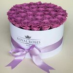 IMG_2917.jpeg IMG_2917.jpeg