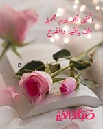 1731540274885.jpeg 1731540274885.jpeg