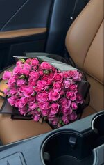 1732069238615.jpeg 1732069238615.jpeg