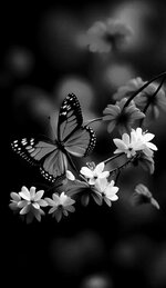 IMG_3833.jpeg