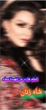 GIF_20241210_112748_849.gif
