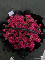 IMG_2277.jpeg
