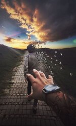 IMG_4087.jpeg IMG_4087.jpeg